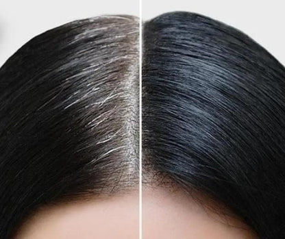 Lipstick Shape Hair Color Dyeing Pen (Black) 3.5 gm